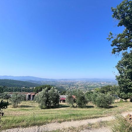 Le Case Di Anita In Toscana - أريتسو المظهر الخارجي الصورة